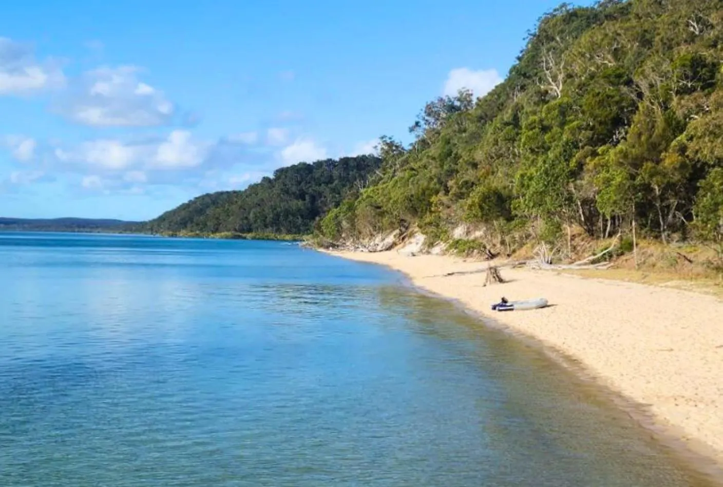 Eurolie On High At Kingfisher Bay Fraser Island Australia
