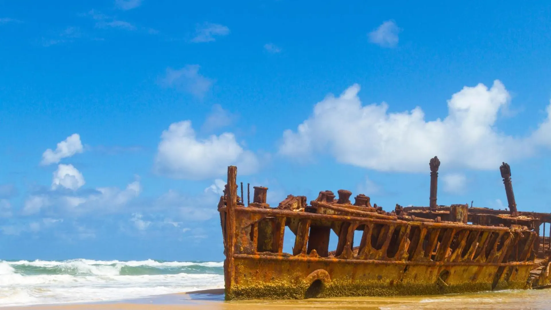 Eurolie On High At Kingfisher Bay Fraser Island Australia