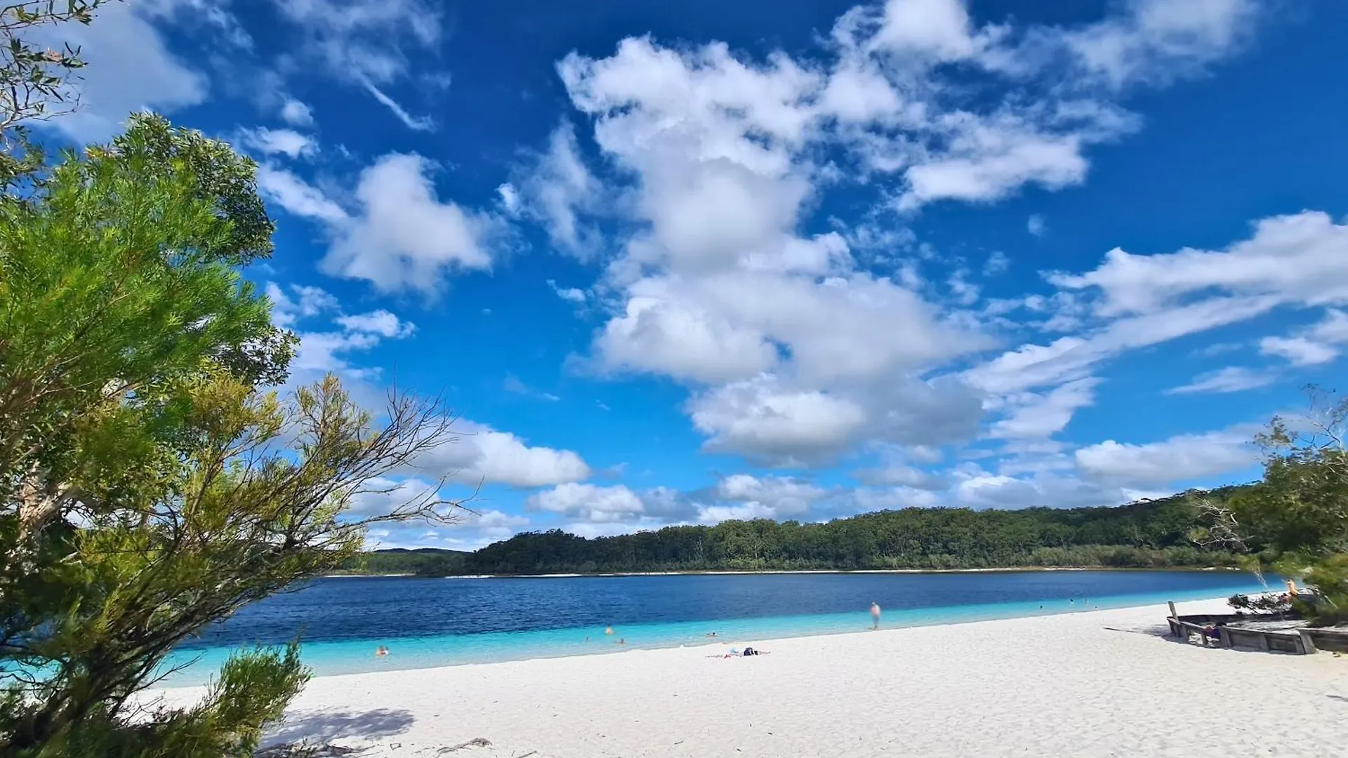 Eurolie On High At Kingfisher Bay Fraser Island