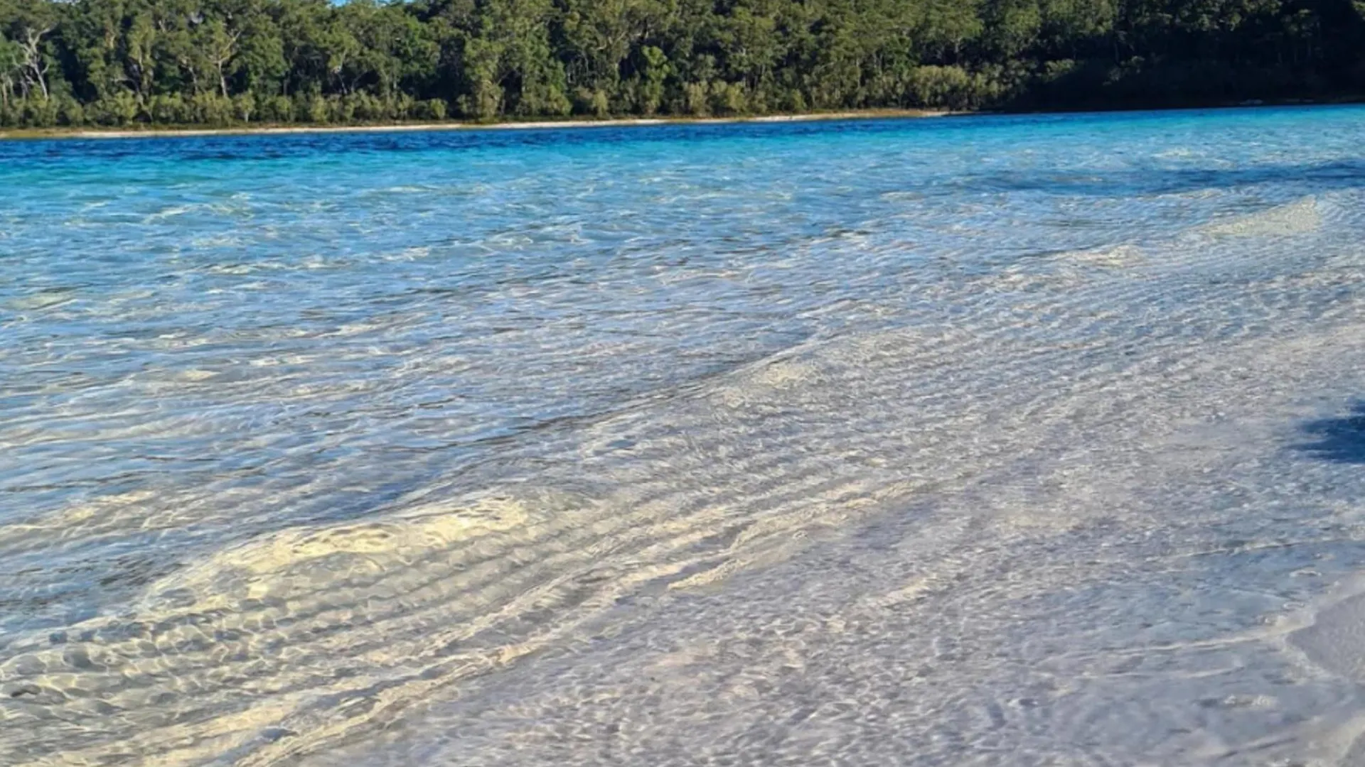 Eurolie On High At Kingfisher Bay Fraser Island